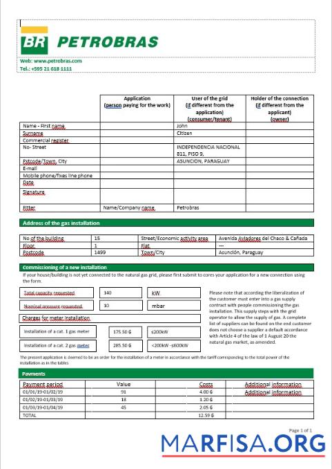 Downloadable Paraguay Petrobras Paraguay Operations and Logistics gas company in Word format template